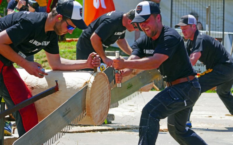 Holzsportliche Säger