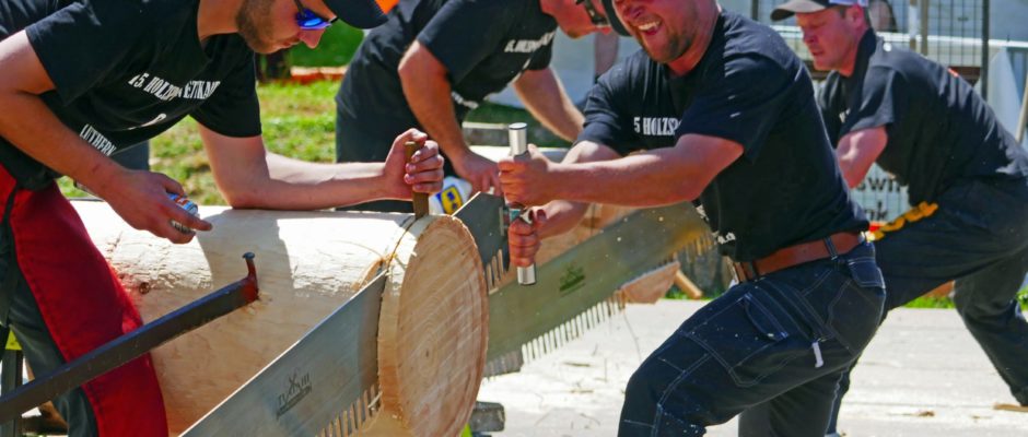 Holzsportliche Säger