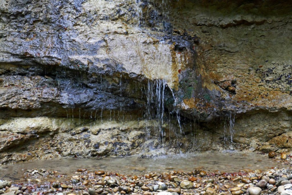 Graufluh