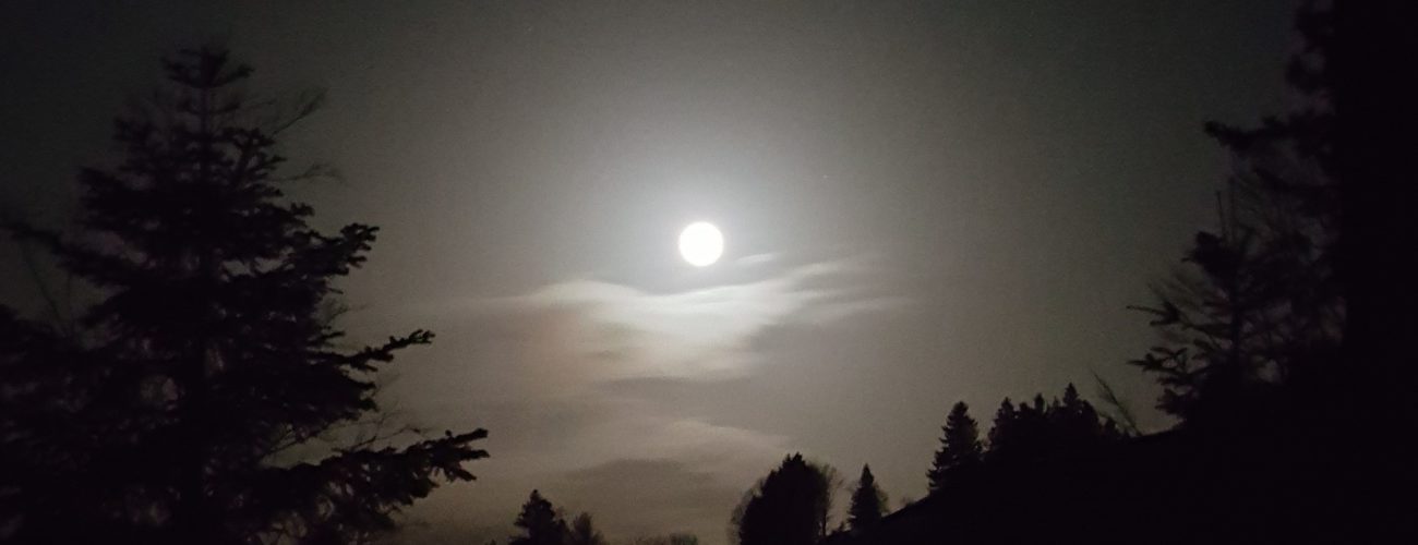 Vollmond im Winterwald