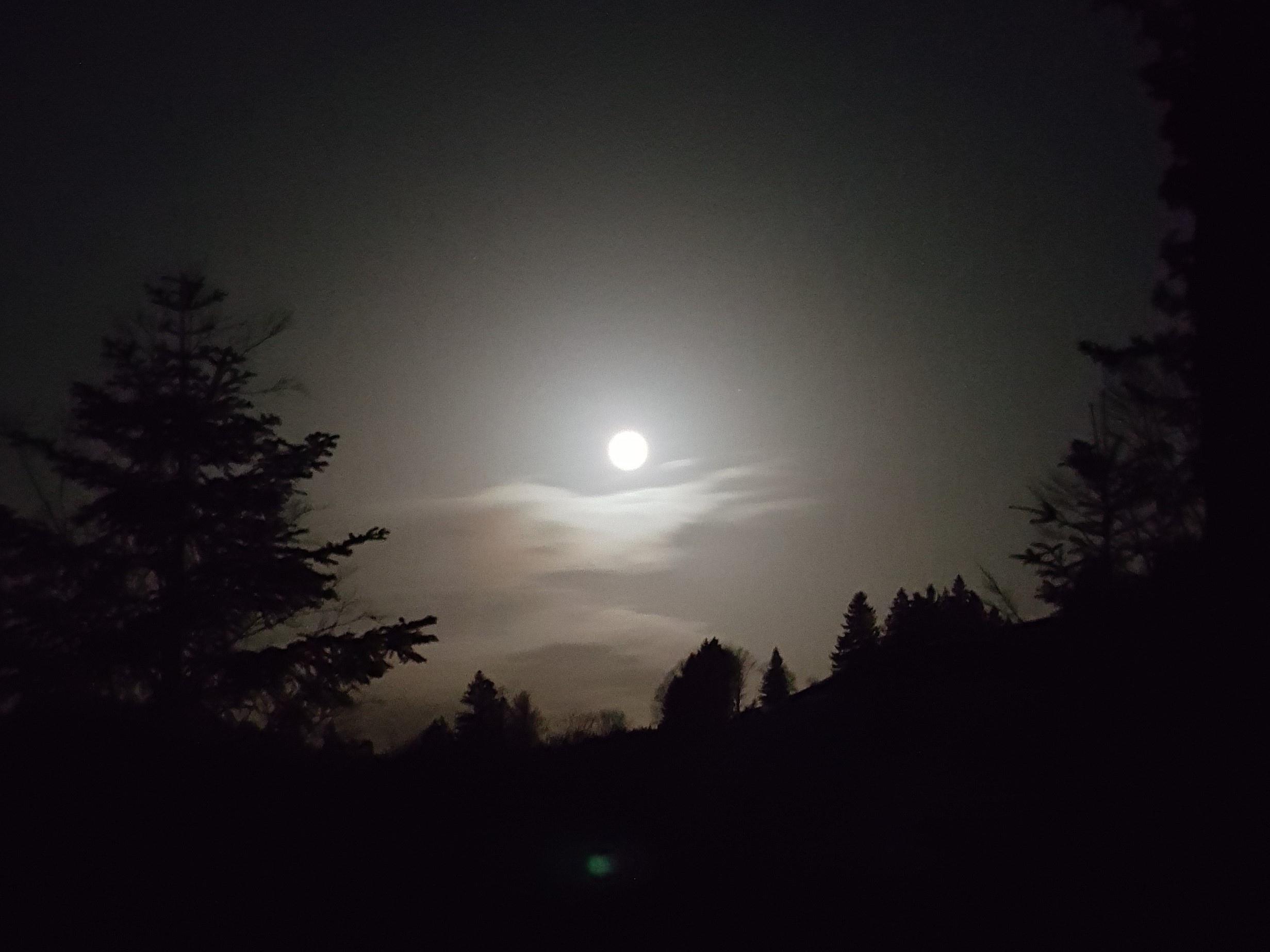 Vollmond im Winterwald