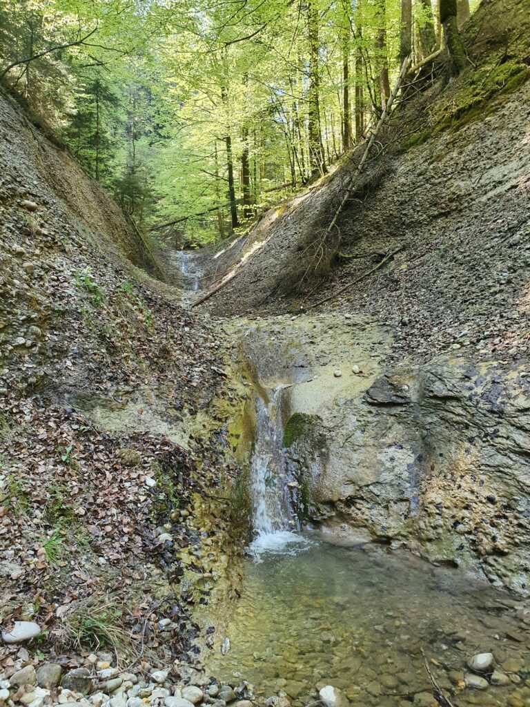 Ellbach