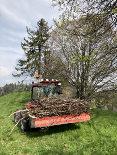 Hagstelli Räumaktion